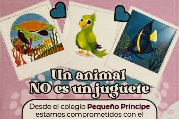 ECODAY: un animal no es un juguete