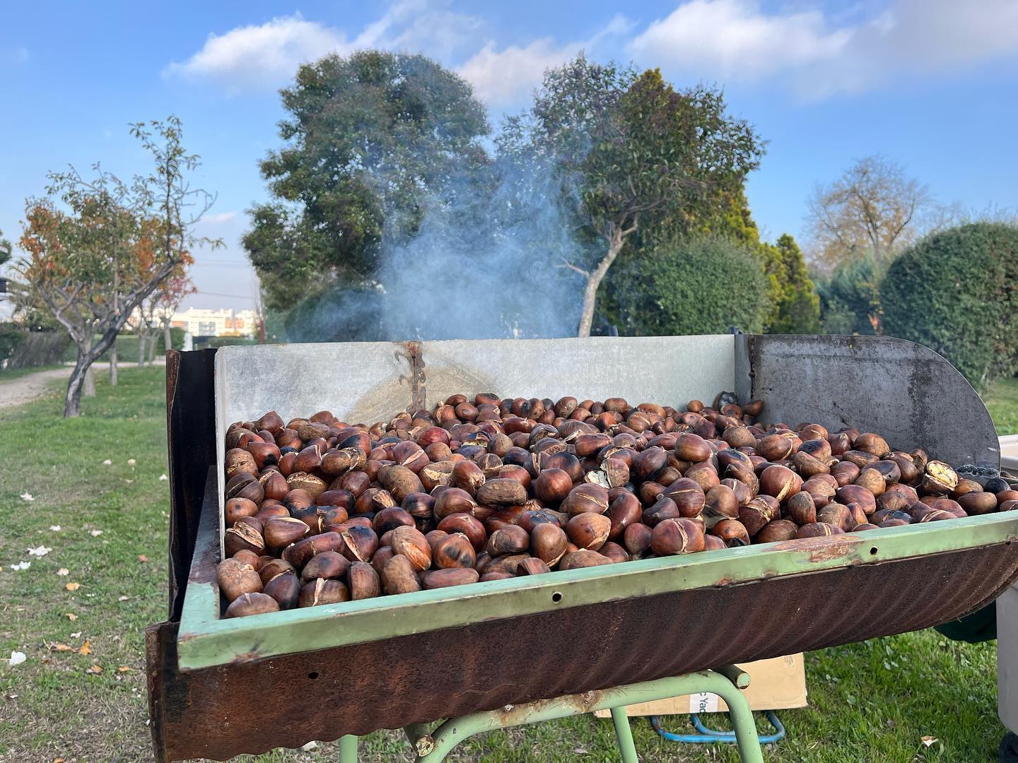 ¡Sí! ¡Si! ¡ Ya es otoño!