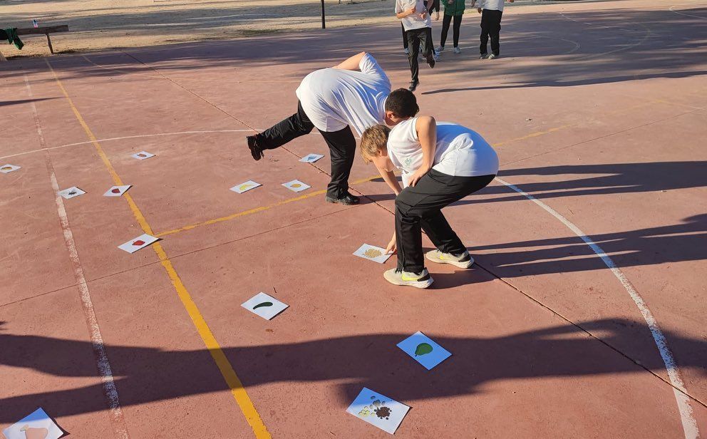 Gracias a SEÍSMO Saludable, nuestros alumnos y alumnas de primaria aprenden y disfrutan de los hábitos de vida saludables en la escuela