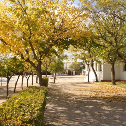 instalaciones colegio pequeño principe leganes