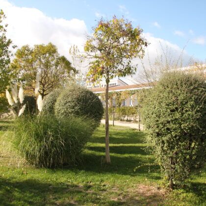 instalaciones colegio pequeño principe leganes