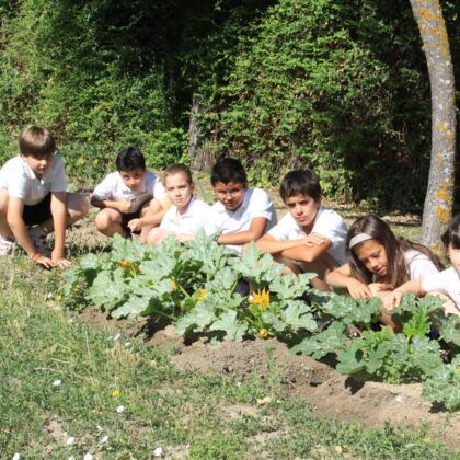 instalaciones colegio pequeño principe leganes